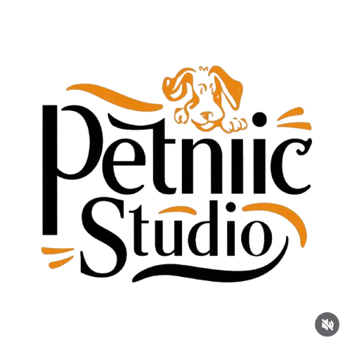 Petniic Studio